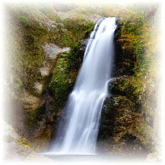 �H�ۑ��i�B�e���F2016/10/30�j