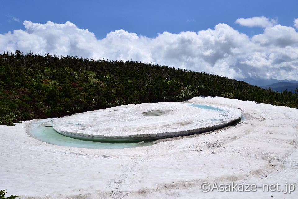 �ϐႪ���������N�̃h���S���A�C