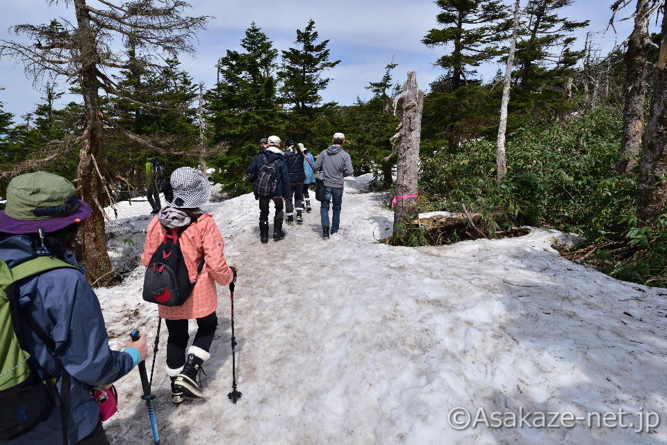 �c��̂��铹