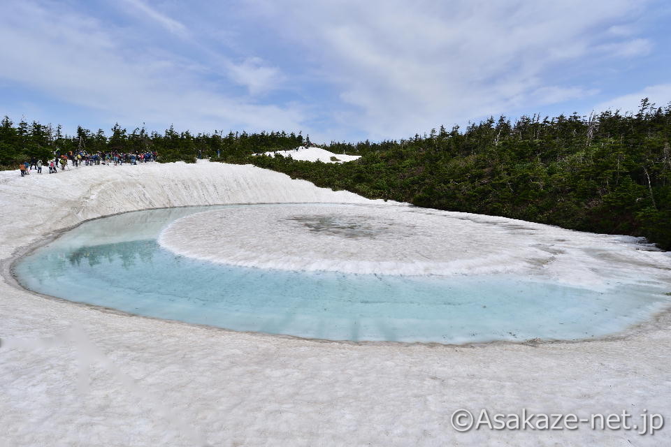 �h���S���A�C1