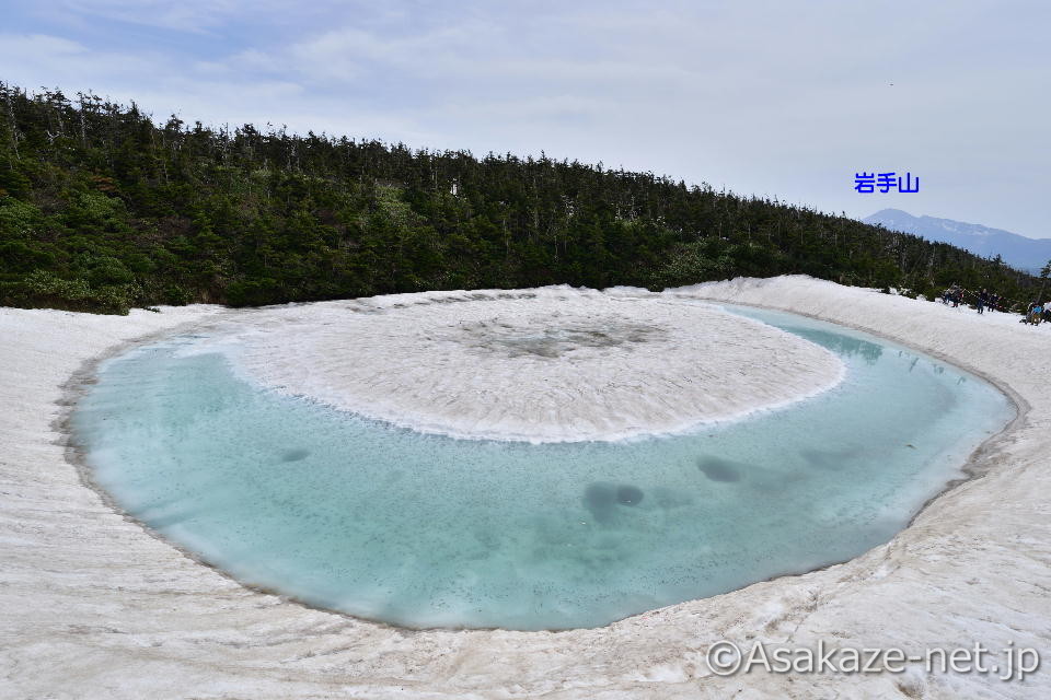 �h���S���A�C2