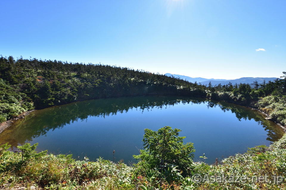 �Ⴊ���������̃h���S���A�C�i�����j