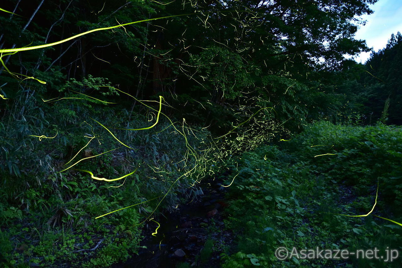 �Q���W�{�^���P