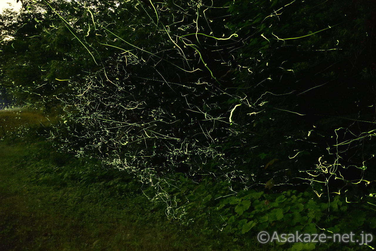 �Q���W�{�^���Q