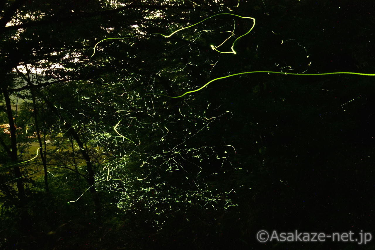 �Q���W�{�^���R