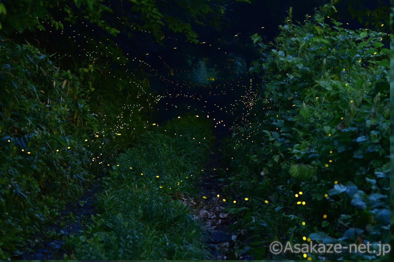 �q���{�^���Q