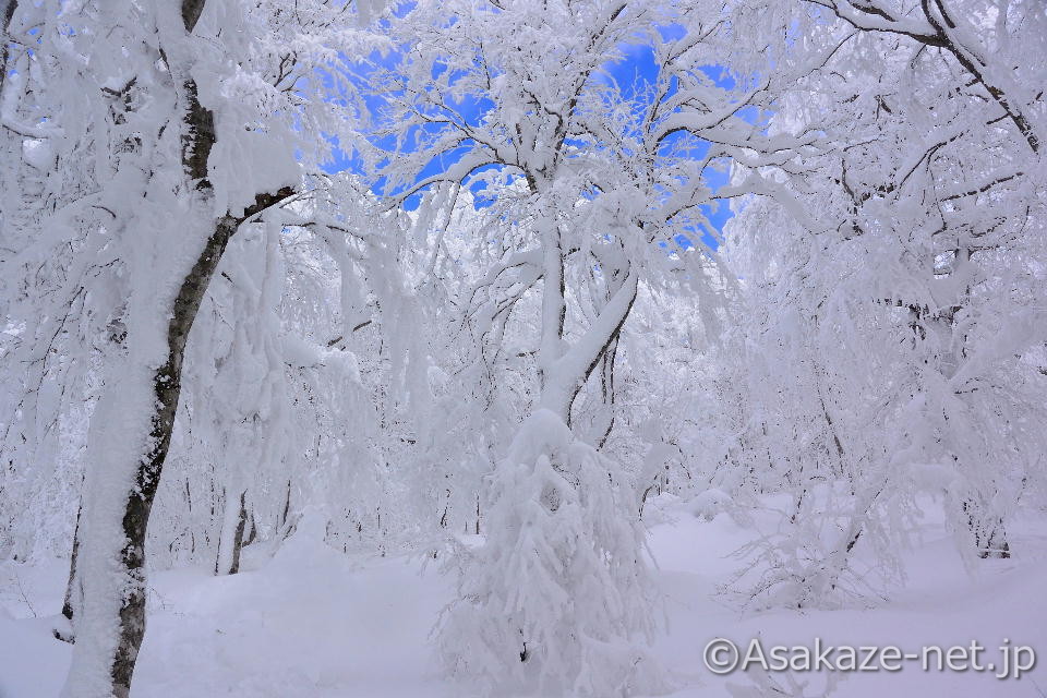 �u�i�т̐ቻ��