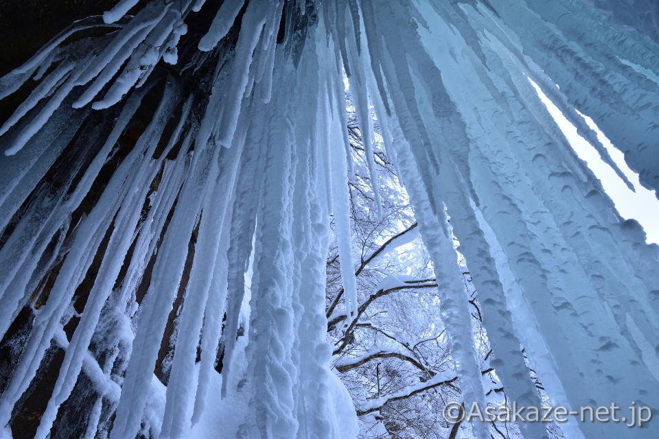 �X�e�̗�����