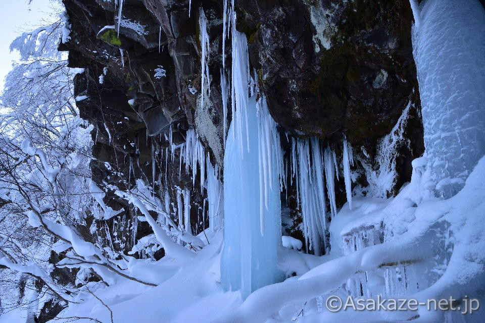 �召�l�X�ȕX��