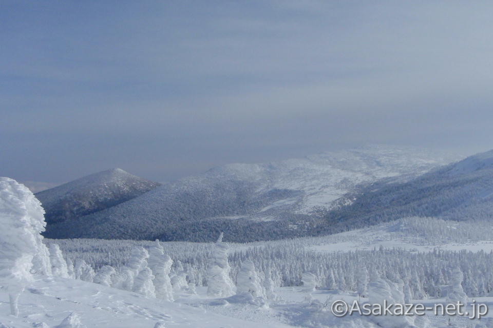 樹氷原の真ん中