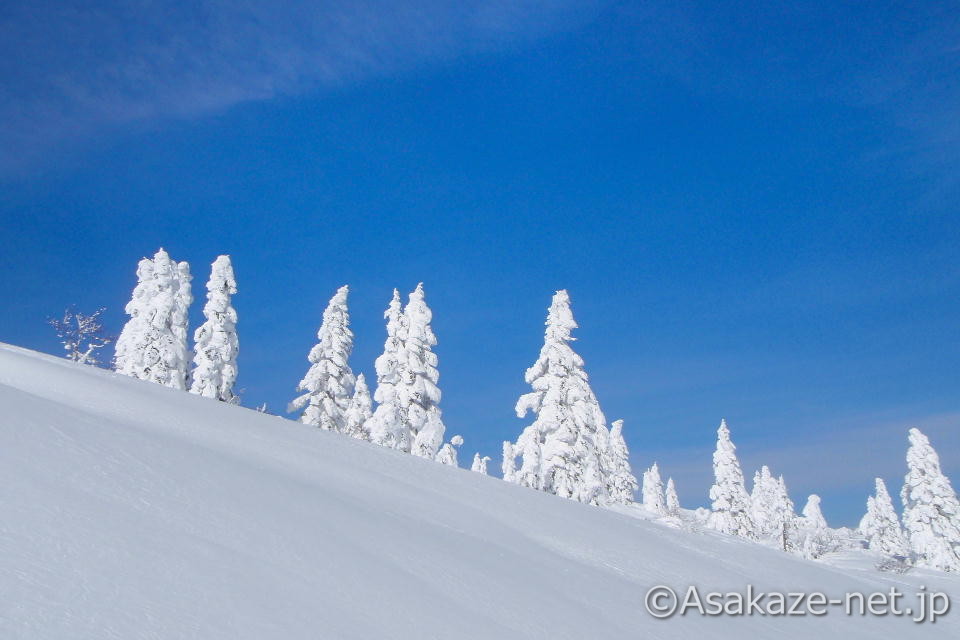 樹氷原の終わり辺り