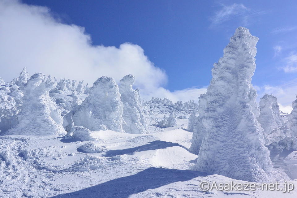 ���n��������X�̐��E