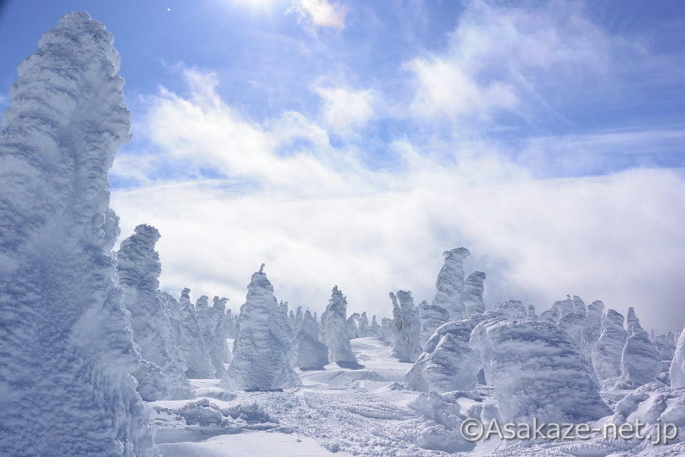 �����o�������ȃ����X�^�[�B