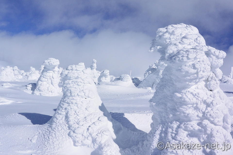 ����Ɍ������Đ���������X