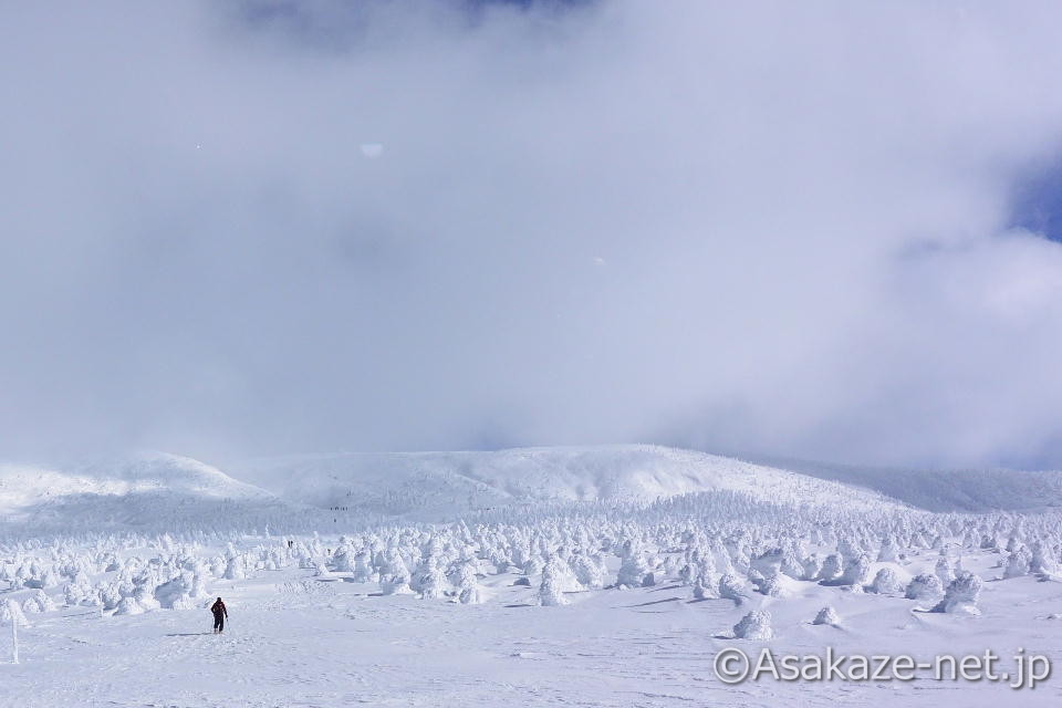 ���X���̌������Ɋ��c�x�R��