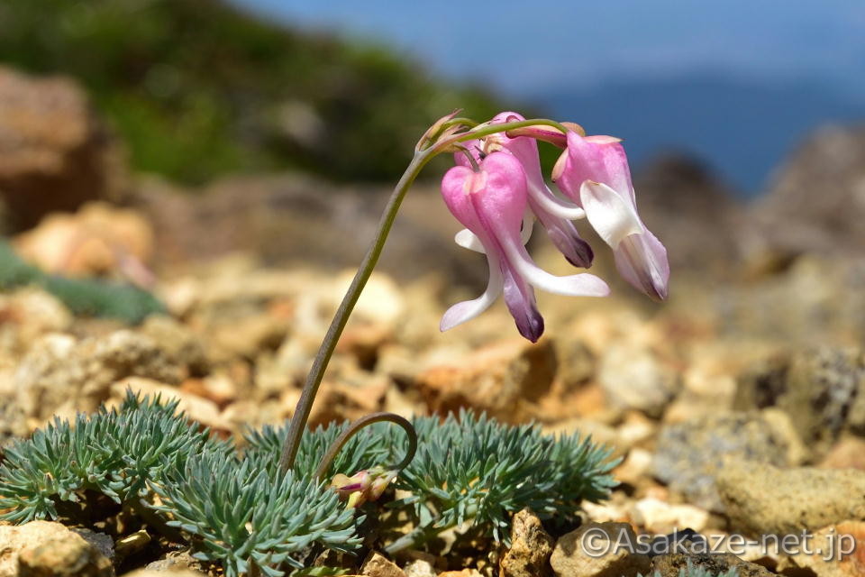 �炫�n�߂̍��̃R�}�N�T