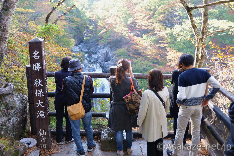 �H�ۑ��F�W�]��