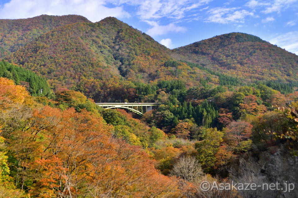 �s���ꋴ���猩���H�ۑ勴����