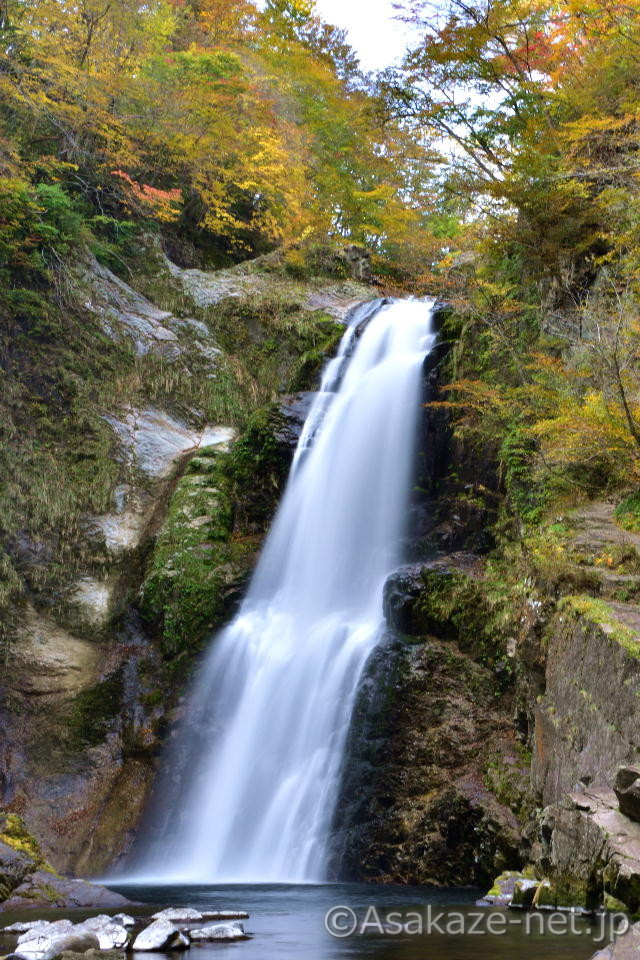 �H�ۑ��F�ꉺ����ʂ����ʐ^�F�X���[�V���b�^�[