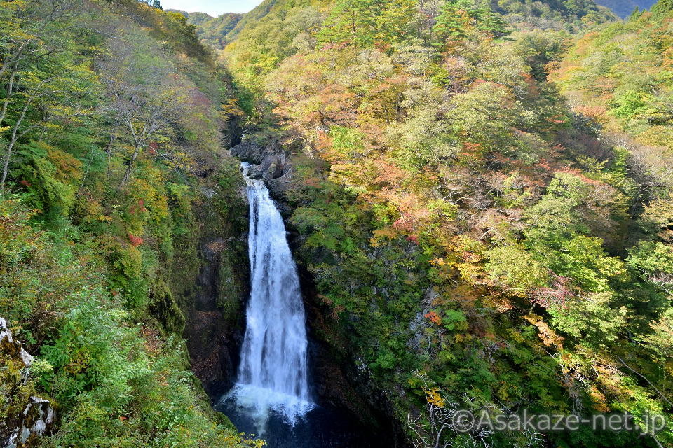 �W�]�䂩�猩���H�ۑ��