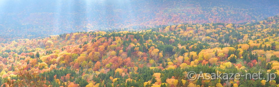 �������i��葤�j