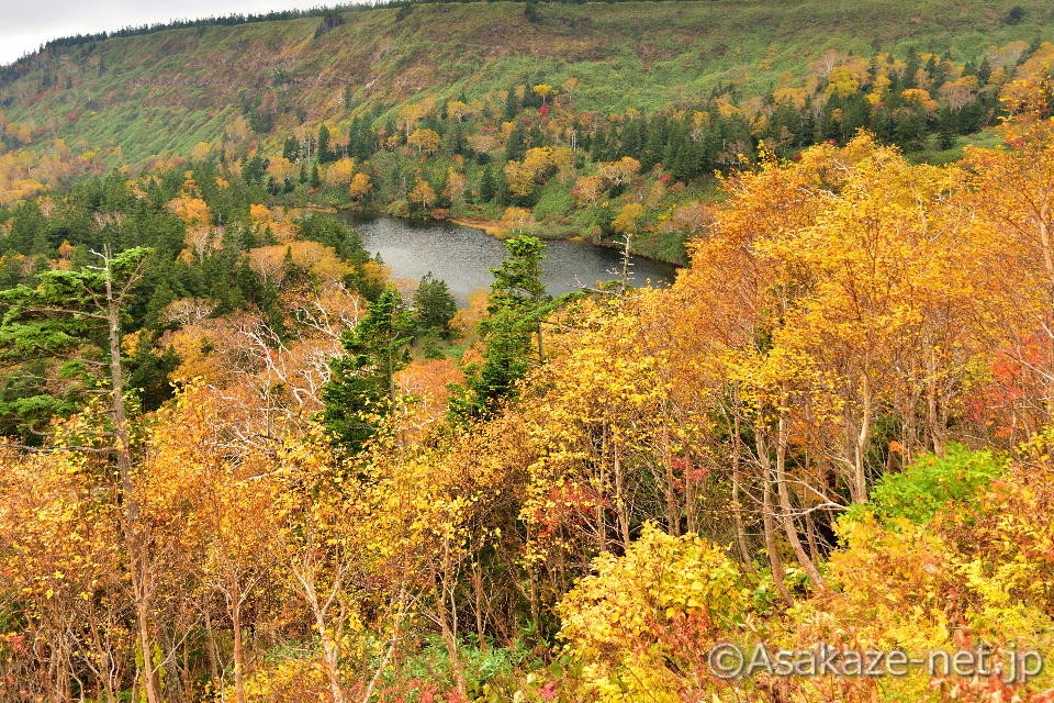 �������i��葤�j�F�F��