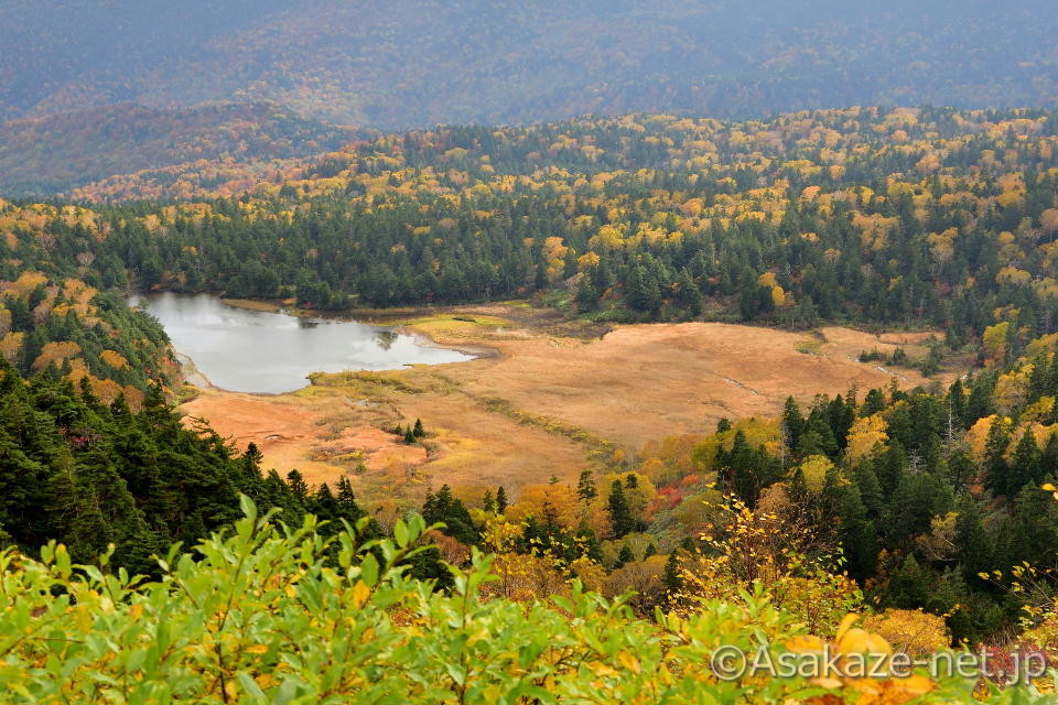 �������i��葤�j�F���