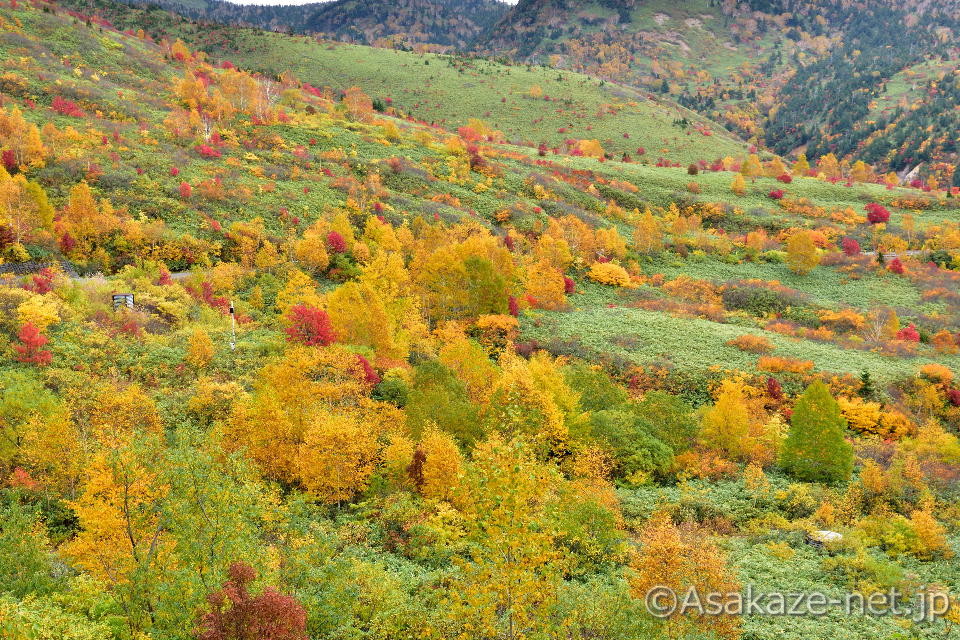 �������i��葤�j�F���ԓ�����8.5km�t��