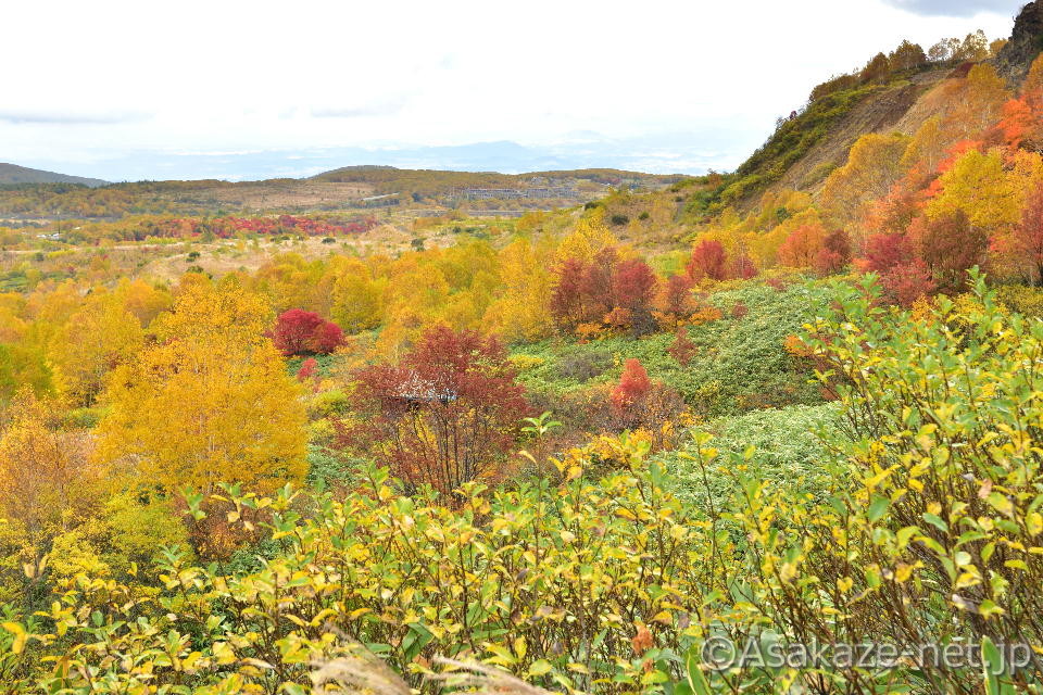 �������i��葤�j�F���ԓ�����8.6km�t��2