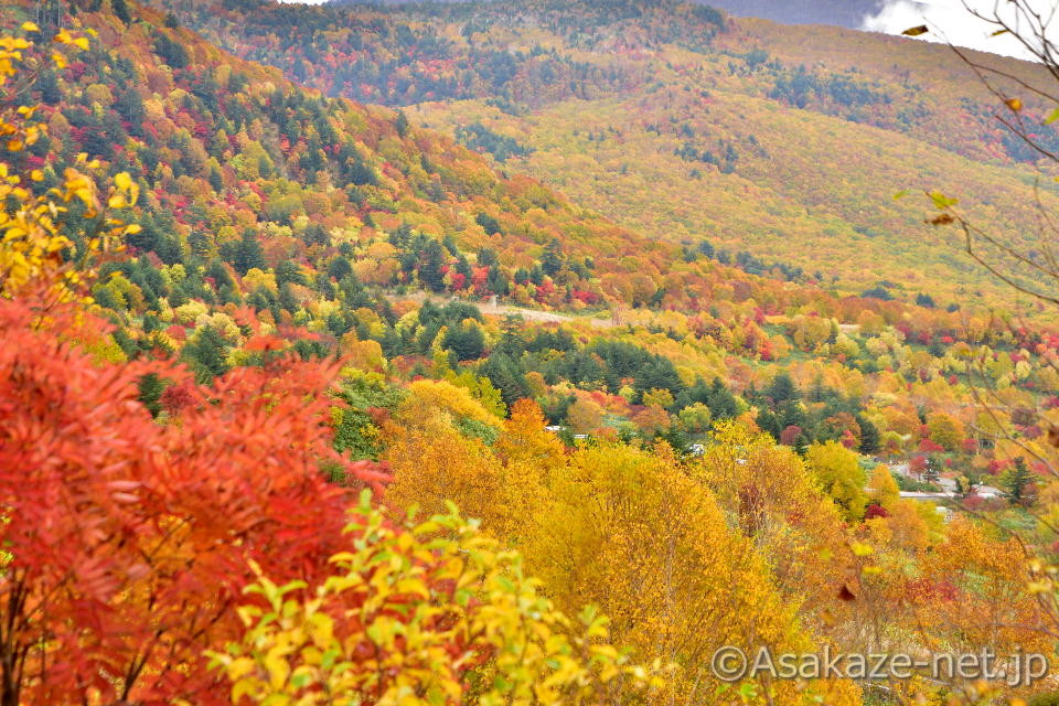 �������i��葤�j�F���ԓ�����8.6km�t��1