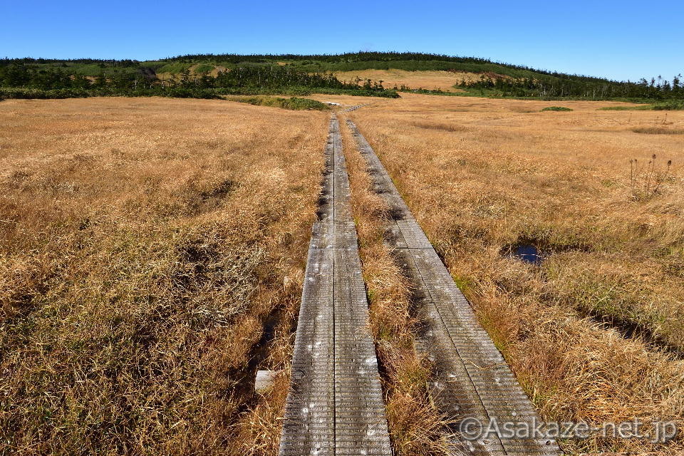 �������i��葤�j�F�������t�߂̑��g�t