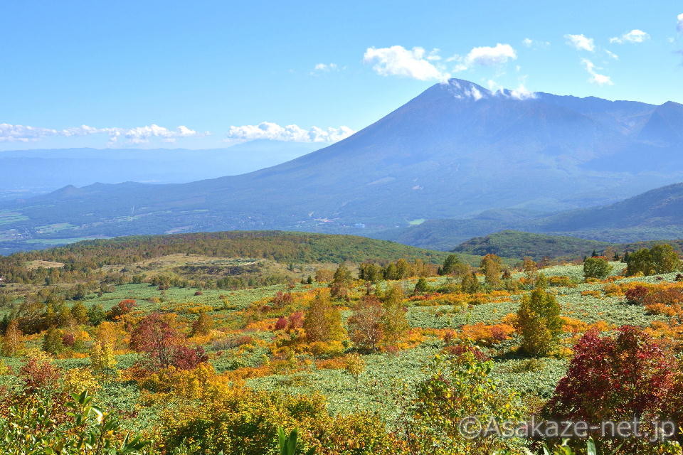 �������i��葤�j�F������W�]������