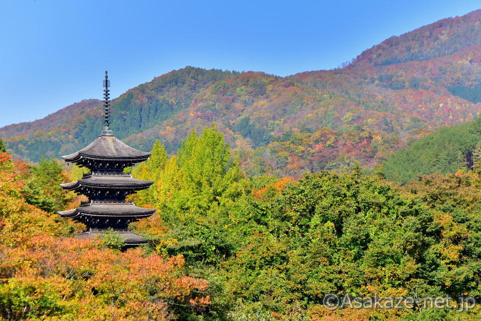 ��`�F�܏d�����i2