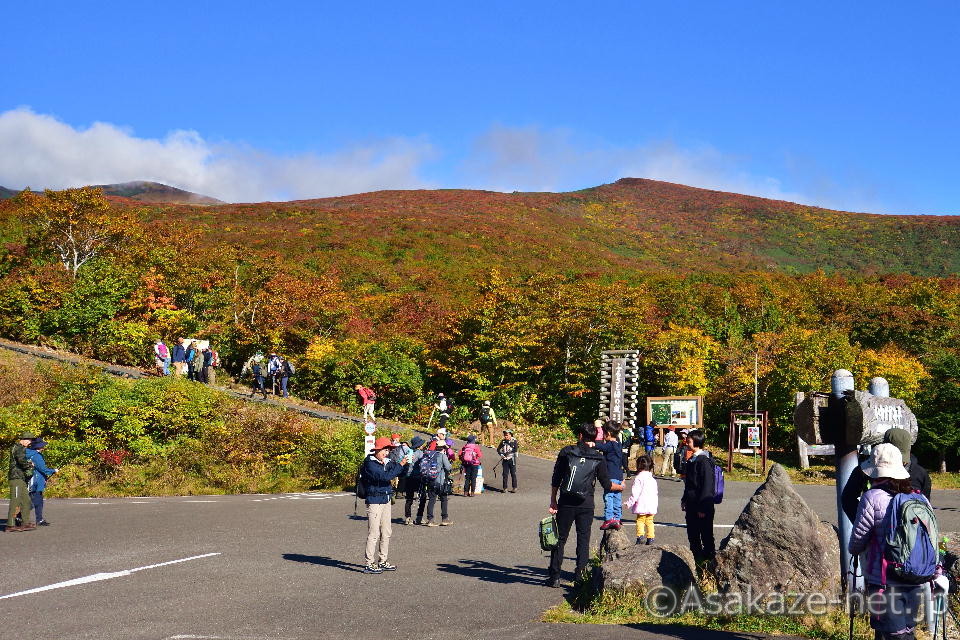 �I��R�F���킩���ݕ�