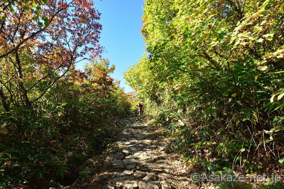 �I��R�F�o�R�������