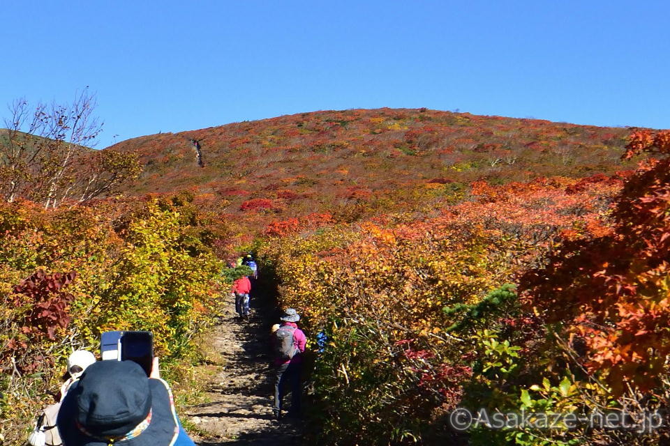 �I��R�F�_���O�~�������Ă���