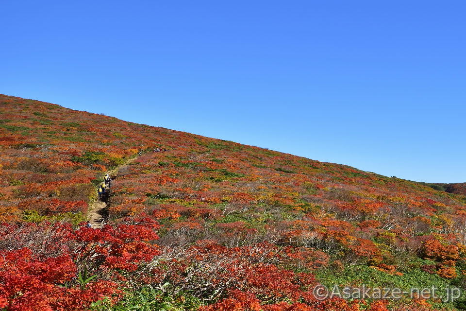 �I��R�F�_���O�~2