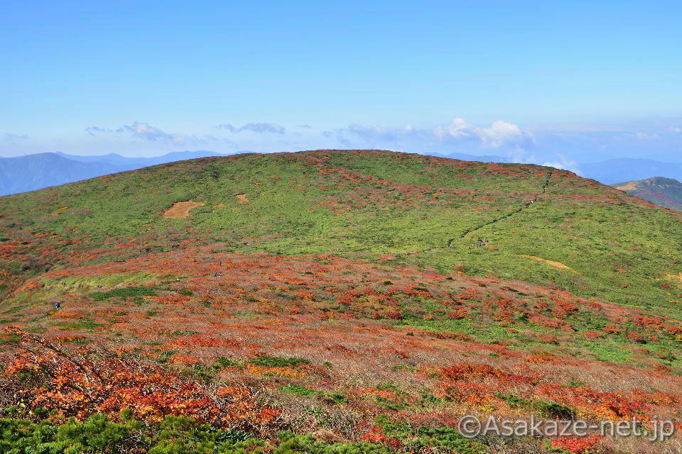 �I��R�F��茧���̌��i