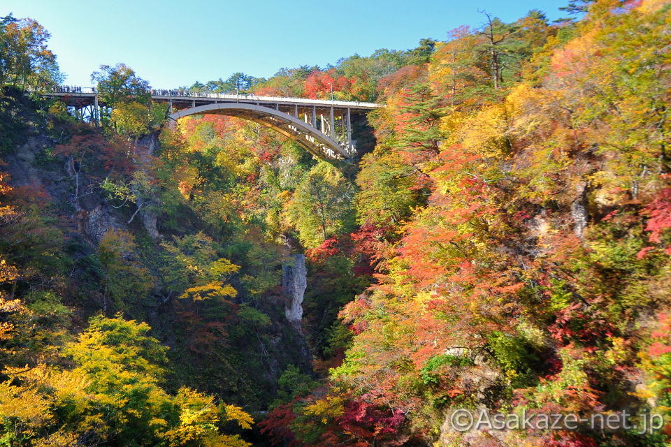 �q���F��[��