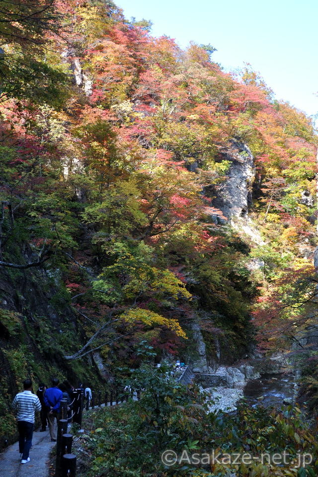 �q���F�V����1