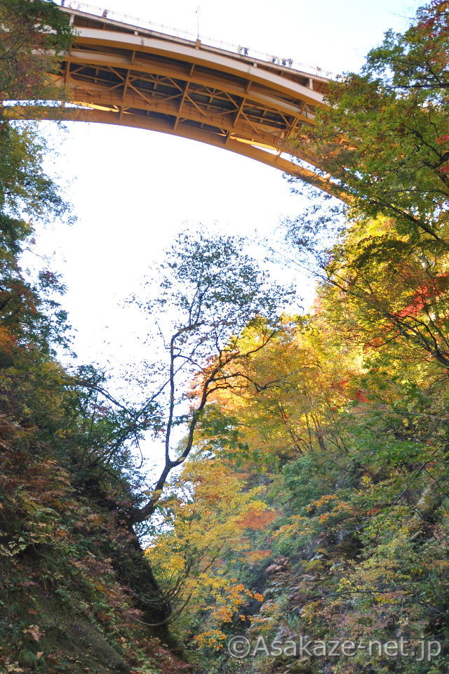 �q���F�V����2