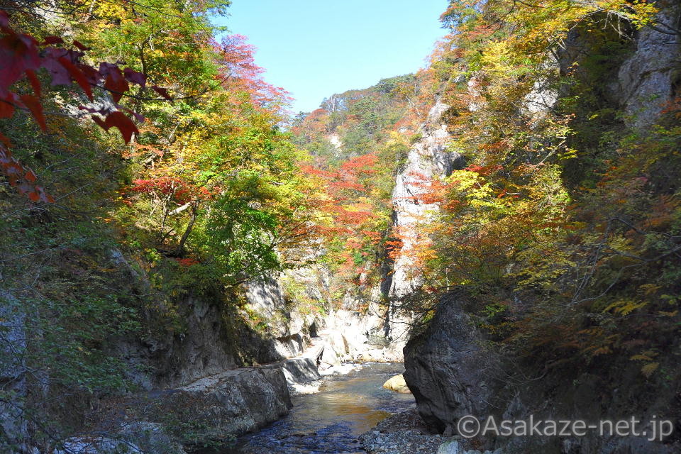 �q���F�V����3