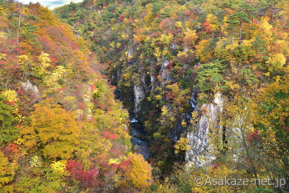 �q���F�q�g���l���̉E��