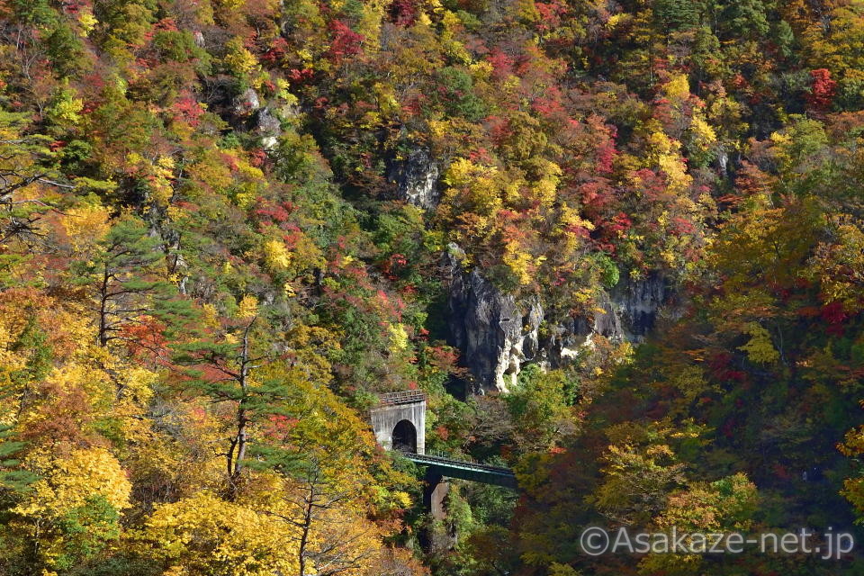 �q���F�q�g���l���o��