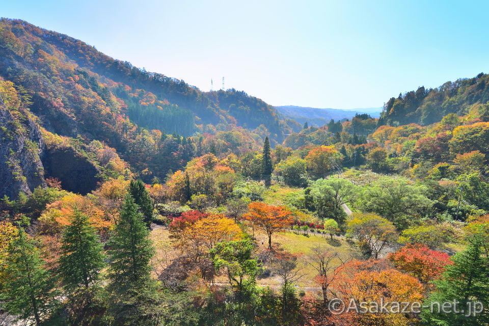 ��q�F��q�_���̉���