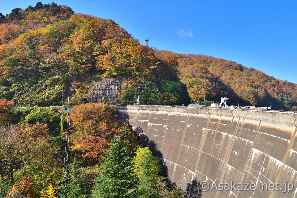 ��q�F��q�_���E��