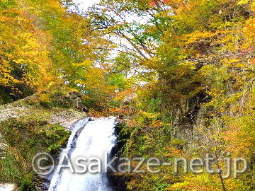 �H�ۑ��̍g�t