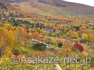 �������i��茧���j�̍g�t