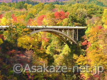 �q���̍g�t