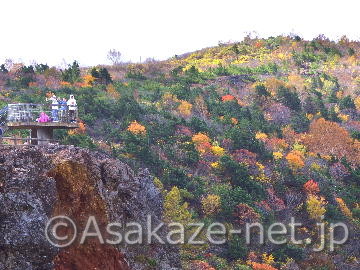 �����i�{��j�̍g�t